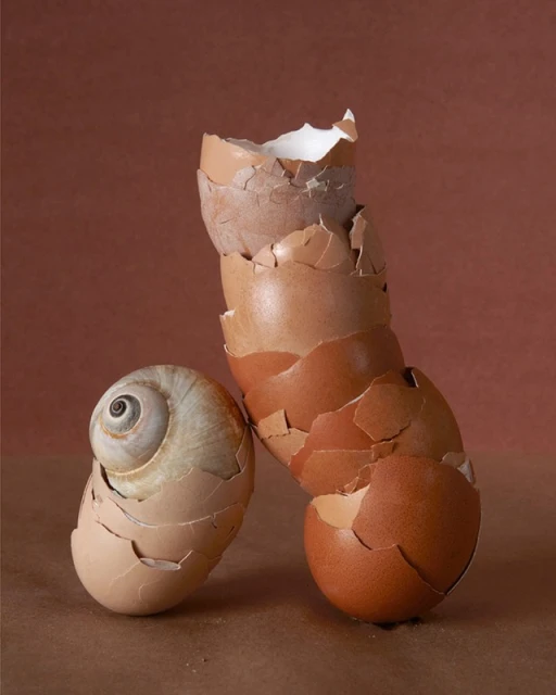 Still life of stacked broken eggshells, in various shades of brown, and one intact shell with a snail-like swirl pattern.