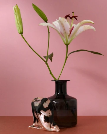 White lily in a dark glass vase next to a small patterned object on a red surface against a pink background