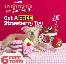 A small scruffy dog poses among plush strawberry and cake toys on a pink gingham tablecloth against a bright pink background.