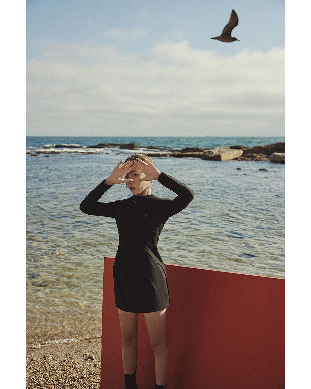 Young woman in a black dress poses on a beach with a red screen, partially obscuring her legs, while a bird flies overhead.