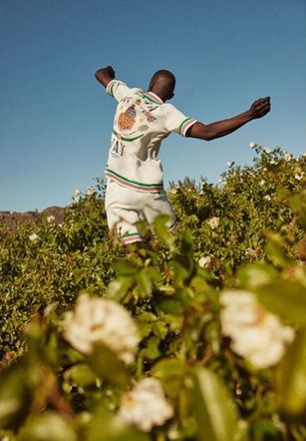 Athletic adult male in shorts and patterned polo shirt stands in a field of white roses and greenery under a sunny blue sky.