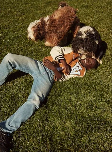 An adult Black man lies on the grass in jeans and a letterman jacket with two medium-sized dogs nearby on a sunny day.