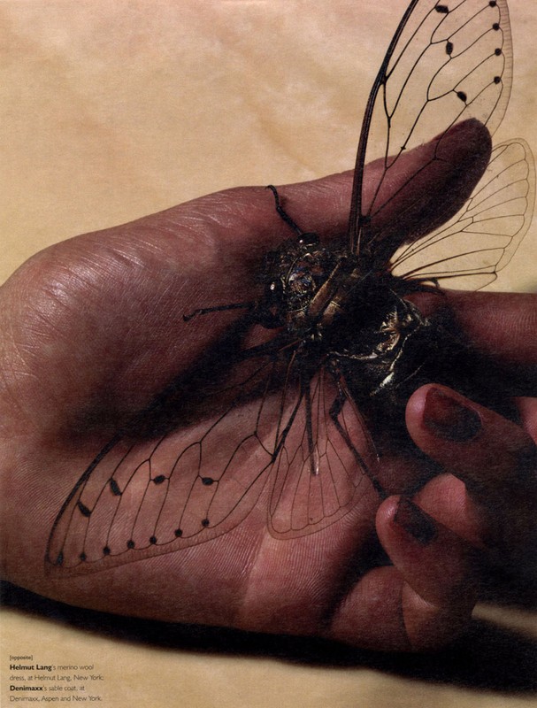 Detailed close-up of a cicada insect in human hands, showcasing its delicate wings and intricate body on a neutral background.