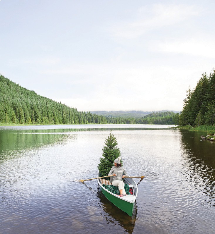 Adult female rows a green rowboat on a still lake, with a Christmas tree in the boat, surrounded by evergreen forest and cloudy sky.
