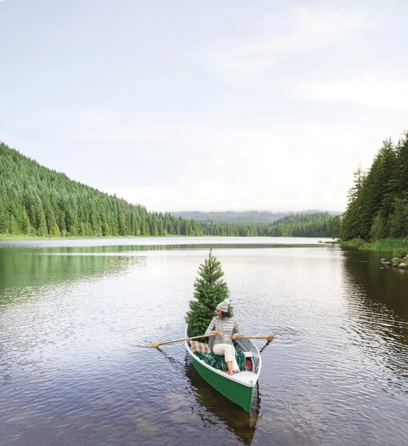 Adult female rows a green rowboat on a still lake, with a Christmas tree in the boat, surrounded by evergreen forest and cloudy sky.