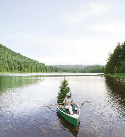 Adult female rows a green rowboat on a still lake, with a Christmas tree in the boat, surrounded by evergreen forest and cloudy sky.