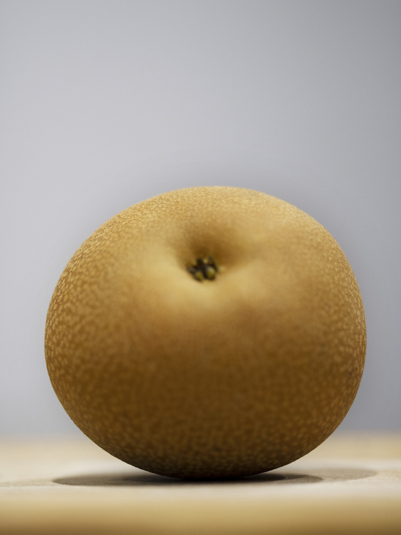 Close-up of a single Asian pear with mottled tan skin sitting on a tan surface against a gradient gray background in vertical format.
