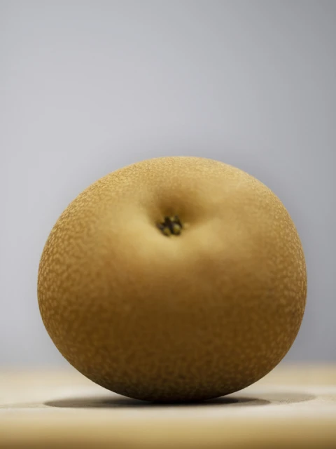 Close-up of a single Asian pear with mottled tan skin sitting on a tan surface against a gradient gray background in vertical format.