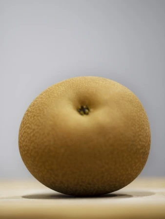 Close-up of a single Asian pear with mottled tan skin sitting on a tan surface against a gradient gray background in vertical format.