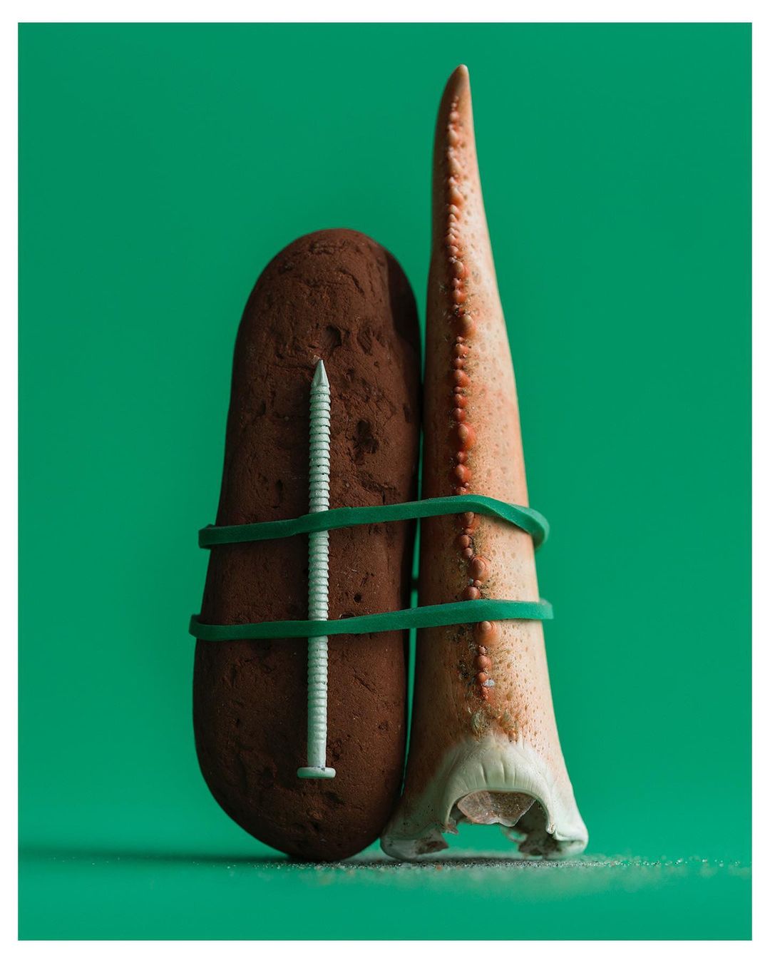 Studio shot of an oddly arranged still life featuring a potato, a screw, and an animal tooth tied together with green rubber bands against green backdrop.