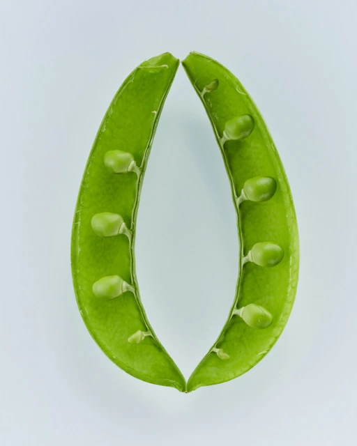 Close-up shot of two bright green open sugar snap pea pods with peas visible inside against a light background, showcasing fresh produce.