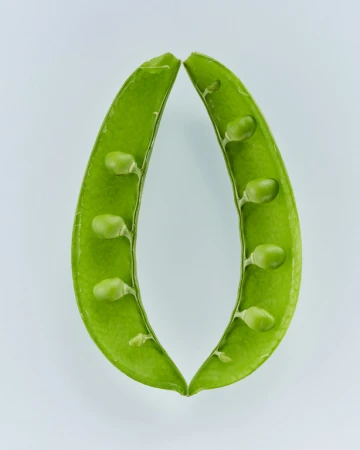Close-up shot of two bright green open sugar snap pea pods with peas visible inside against a light background, showcasing fresh produce.