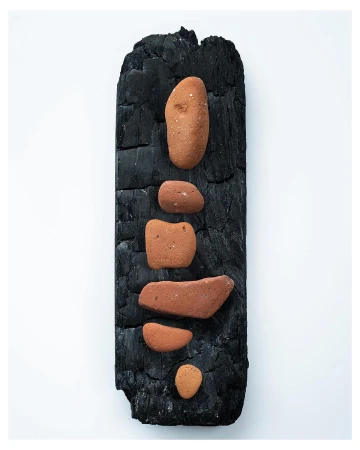 Arrangement of red stones balanced atop a dark, charred piece of wood against a plain white background in an abstract composition.