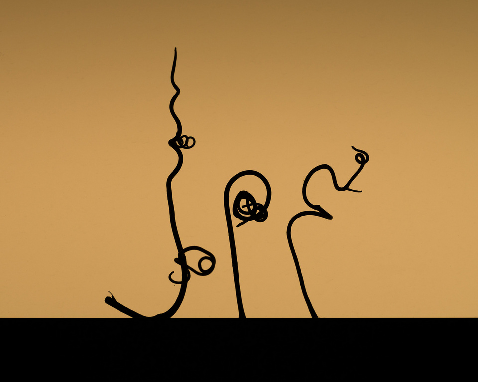 Abstract illustration against a tan background featuring thin, black, vine-like lines that form abstract designs, with a black base.