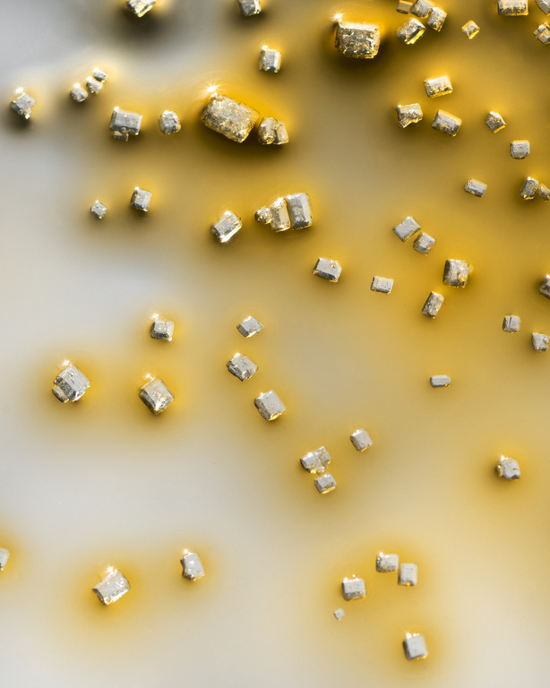 Close-up of loose light brown sugar cubes on a light grey background with liquid, capturing sweet flavor and granular texture.
