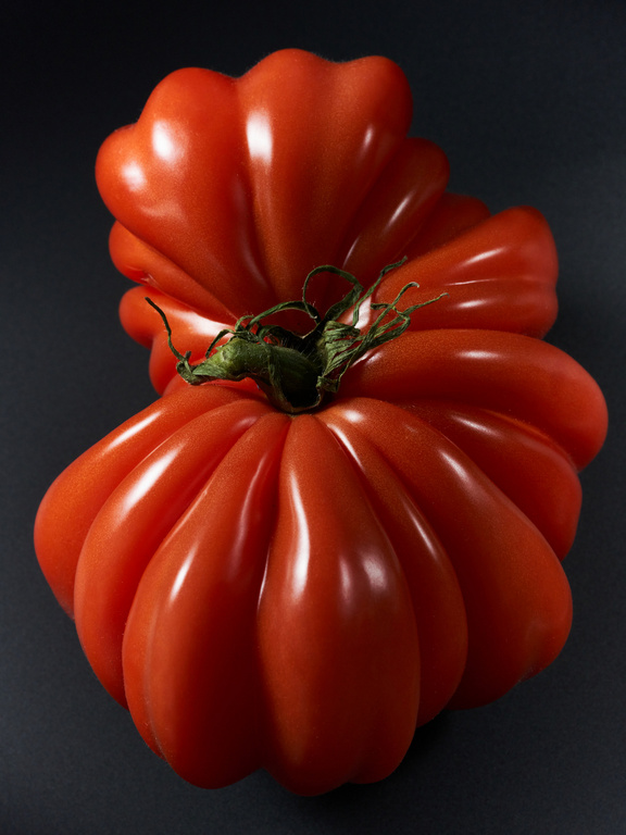 Still life shot of a red heirloom tomato against a dark background, showcasing its ruffled shape and green stem.