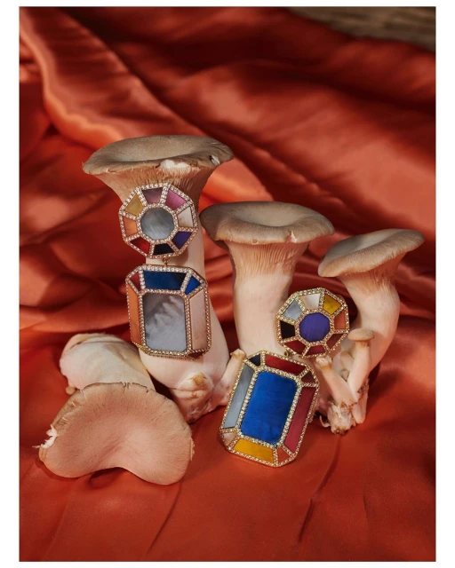 Eye-catching jewellery shot with two sets of gem-encrusted earrings placed creatively on oyster mushrooms against a draped orange silk backdrop.