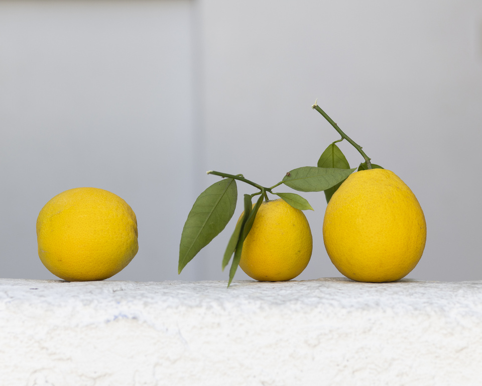 Three vibrant yellow lemons are displayed against a bright white wall, one with stems and leaves, creating a refreshing citrus still life.