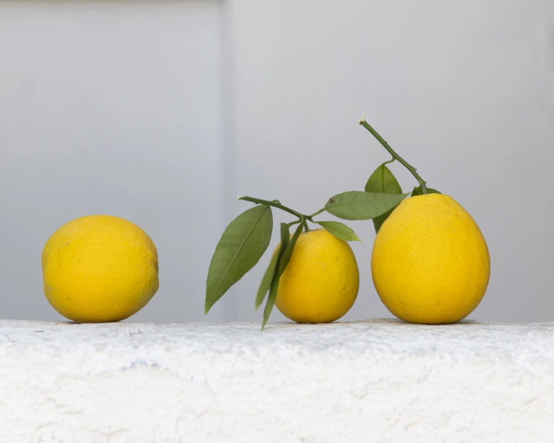 Three vibrant yellow lemons are displayed against a bright white wall, one with stems and leaves, creating a refreshing citrus still life.