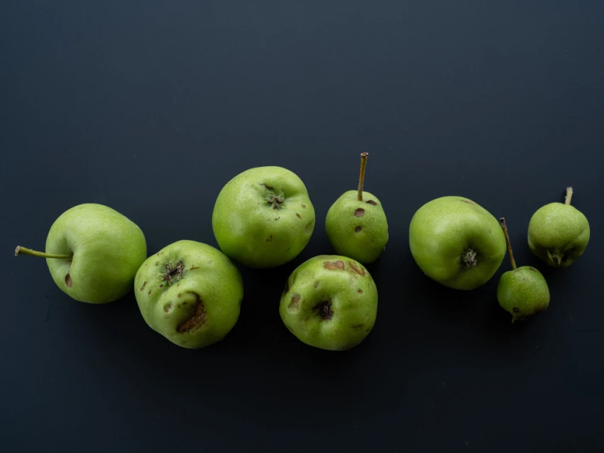 A collection of green apples and pears arranged against a solid black background, showcasing their natural textures and shapes.