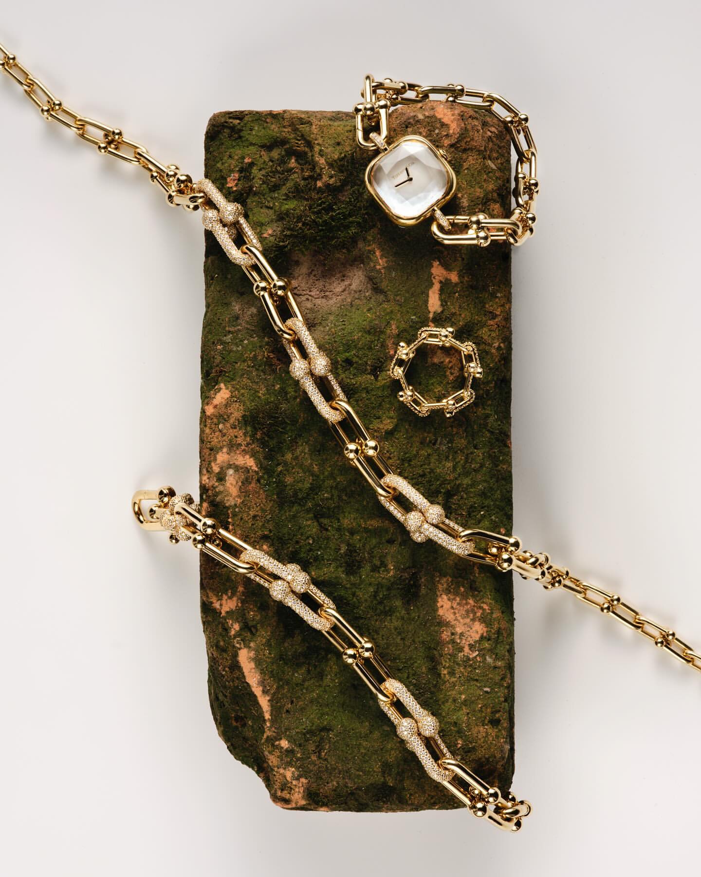 Still life of a gold chain-link bracelet, ring, and watch arranged on a mossy brick against a white background in a studio setting.