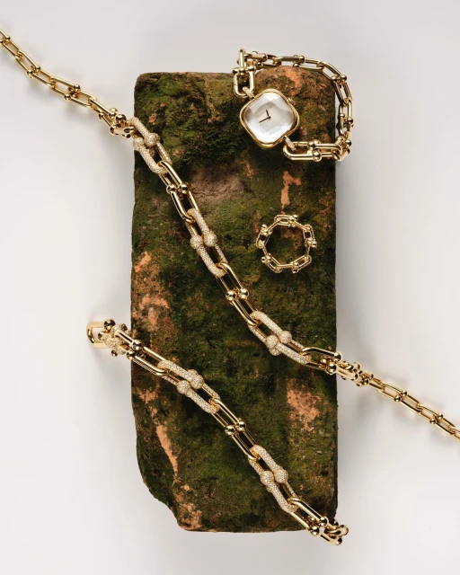 Still life of a gold chain-link bracelet, ring, and watch arranged on a mossy brick against a white background in a studio setting.