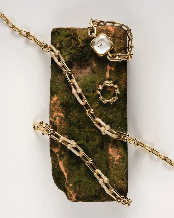 Still life of a gold chain-link bracelet, ring, and watch arranged on a mossy brick against a white background in a studio setting.