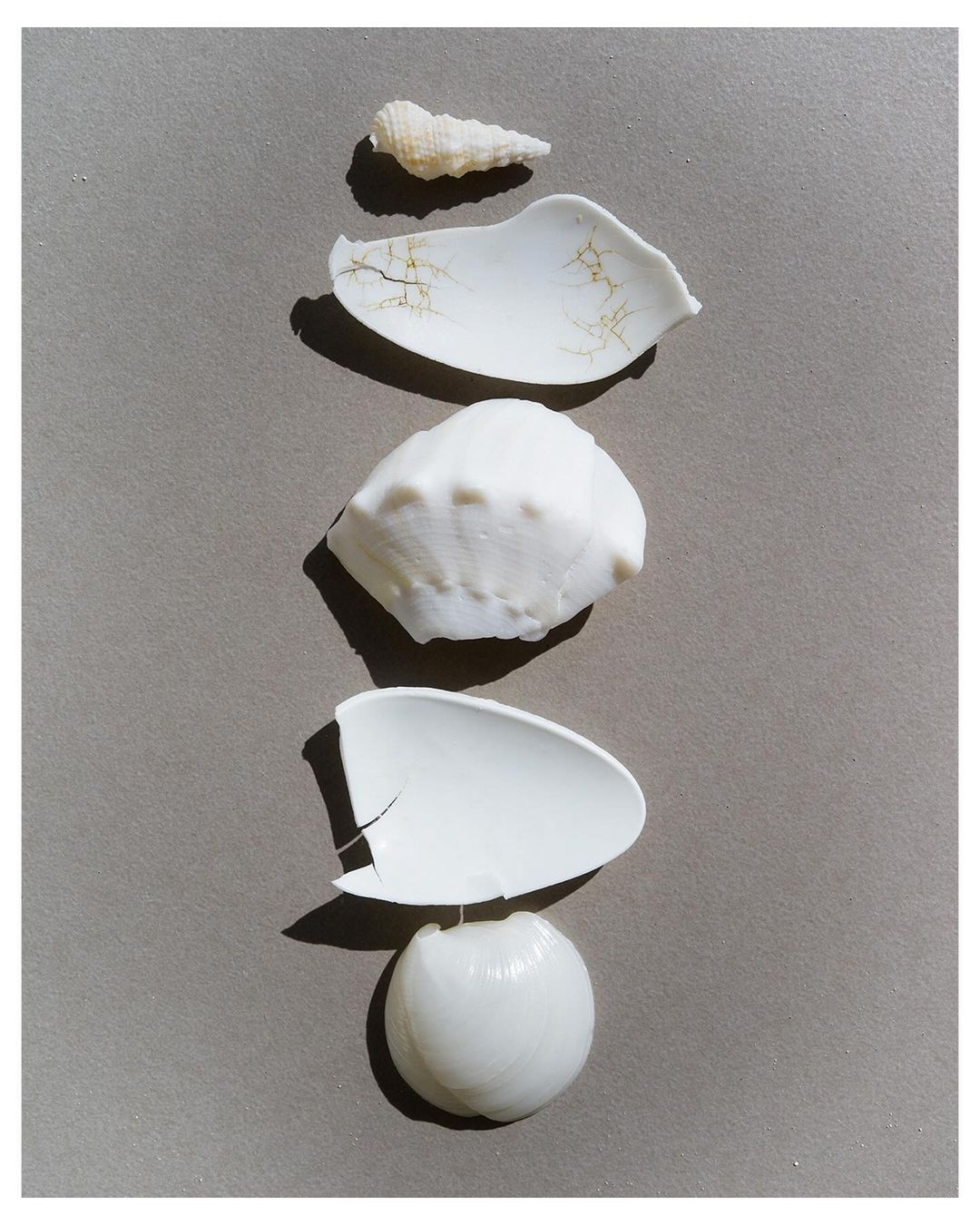 Arrangement of five white seashells on a grey surface in vertical alignment, with varying shapes and textures, under direct light.