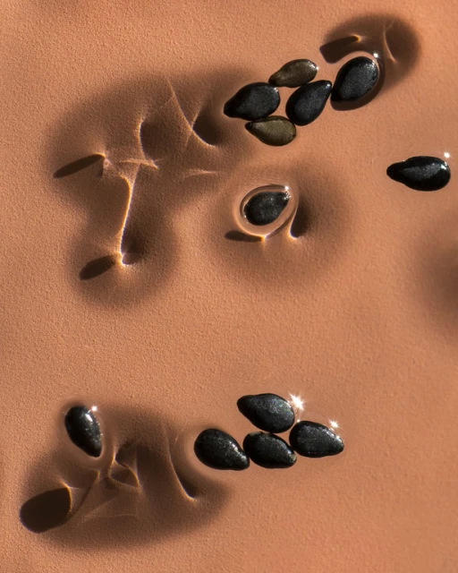 Macro shot of black sesame seeds in a textured orange liquid, reflecting light with shadows forming patterns.
