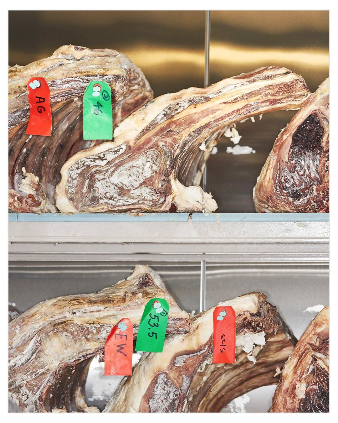Close-up of raw beef cuts with visible marbling and tags hanging from each cut, arranged on two shelves, indoors with cool lighting.