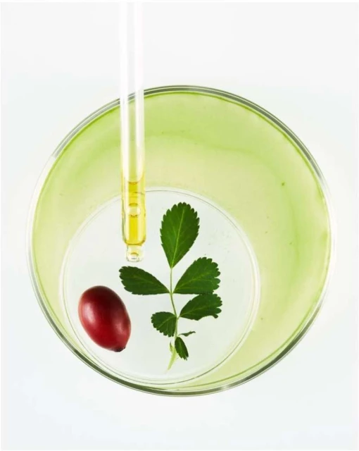 A pipette hovers above a clear petri dish containing a red berry and a green leaf, set against a clean white background.