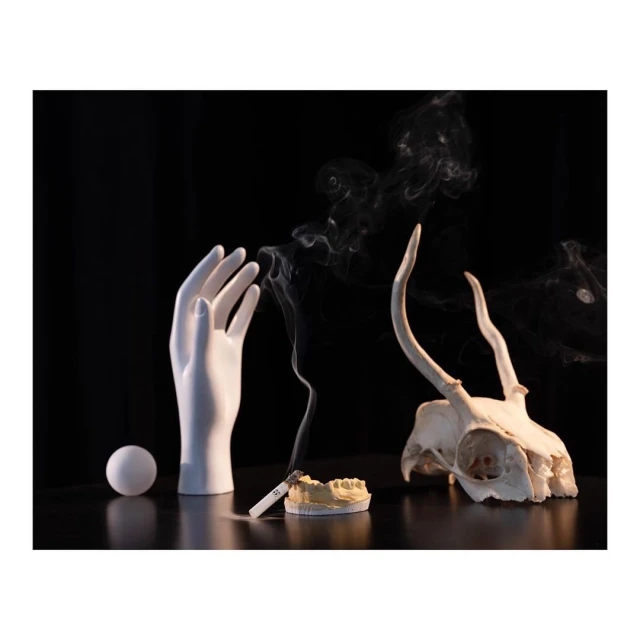 Dramatic still life featuring a smoking cigarette, deer skull, mannequin hand, sphere, and dental model on a dark reflective surface.