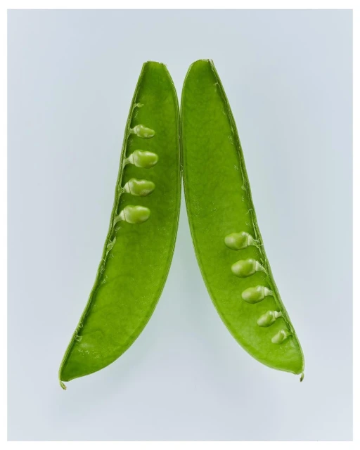 Two green sugar snap pea pods, cut open to show the peas inside, rest on a white background in a close-up studio shot. Food photography.