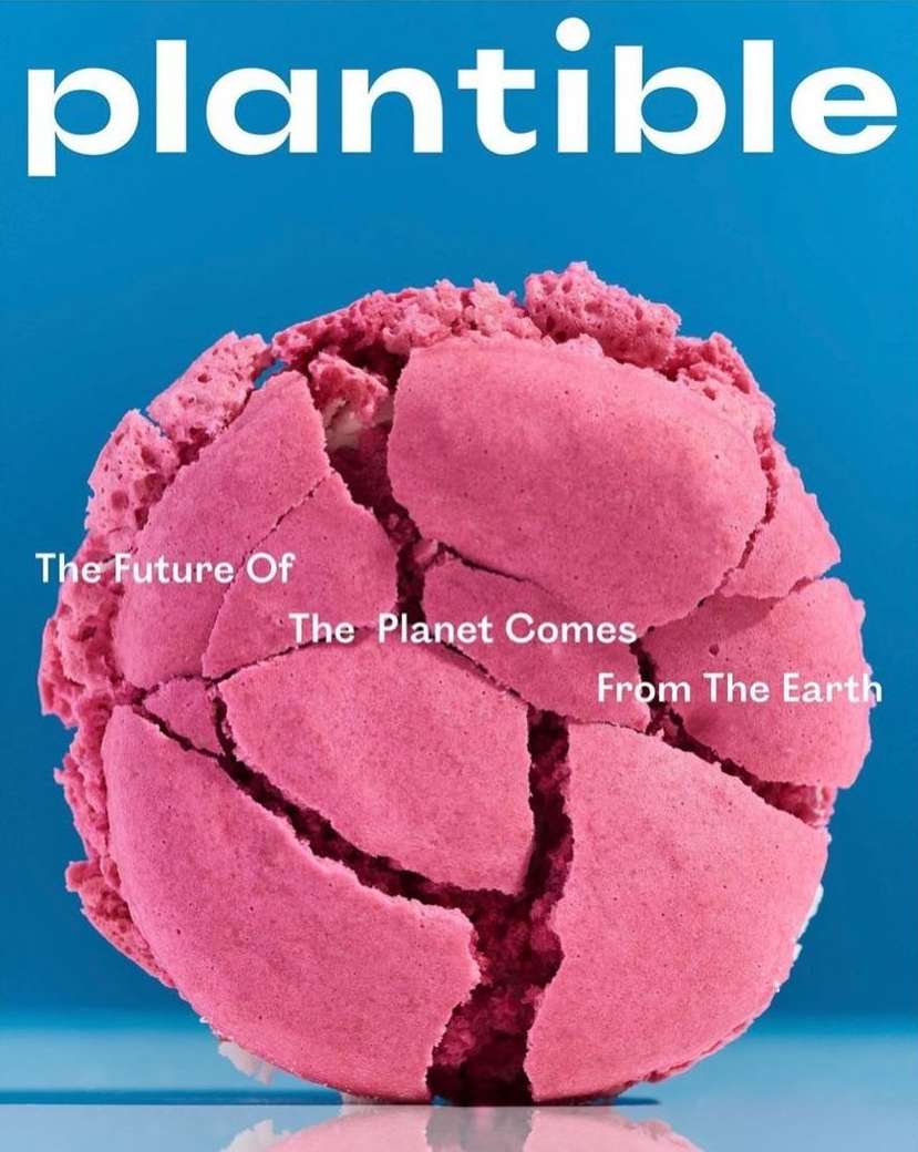 Plantable magazine cover featuring a cracked pink orb, symbolizing the planet and sustainability, set against a blue background.
