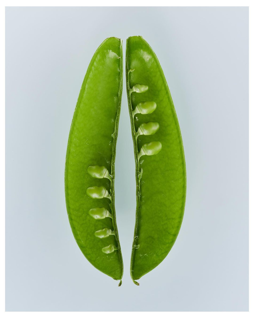 Close-up studio shot of two halves of an open sugar snap pea, revealing small peas inside, against a plain white background.