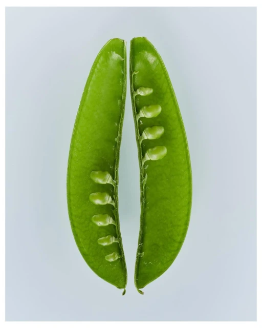Close-up studio shot of two halves of an open sugar snap pea, revealing small peas inside, against a plain white background.