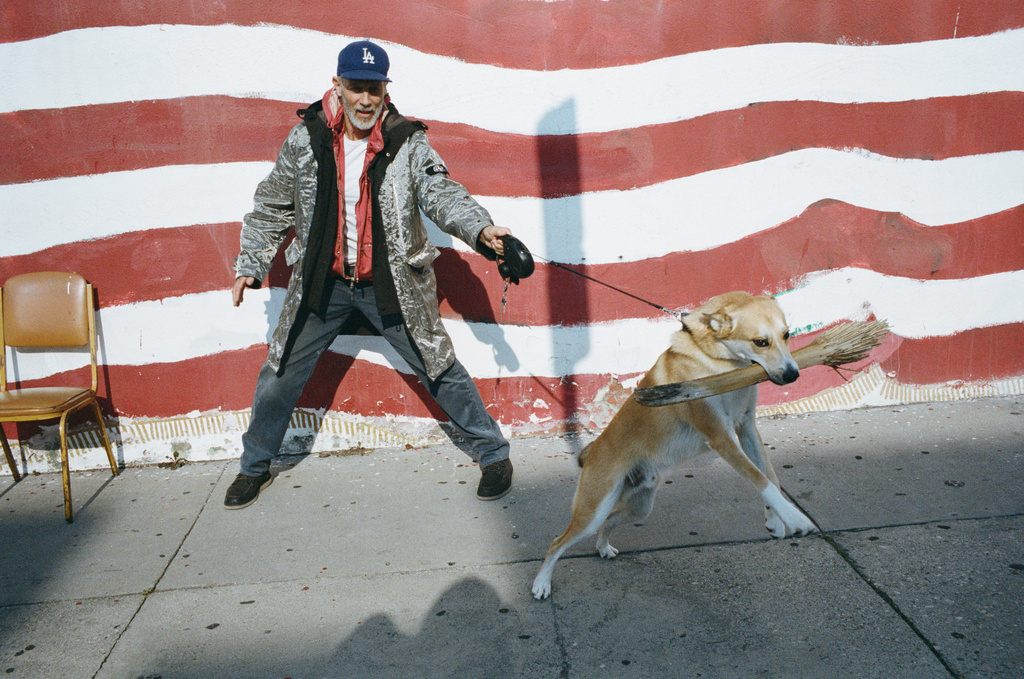 Man in a metallic coat walks a dog that is carrying a broom in its mouth in front of a red and white striped wall.