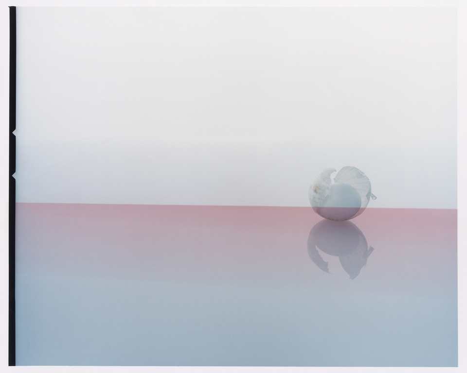 Still life photography with a white Physalis fruit reflected on a pink surface against a white background, in a studio setting.
