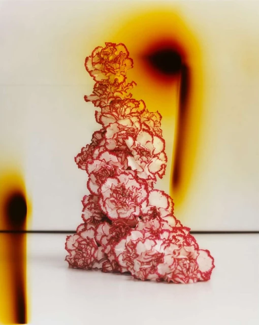 Floral arrangement featuring a stack of carnations with red-fringed petals set against a blurred background of white and orange.