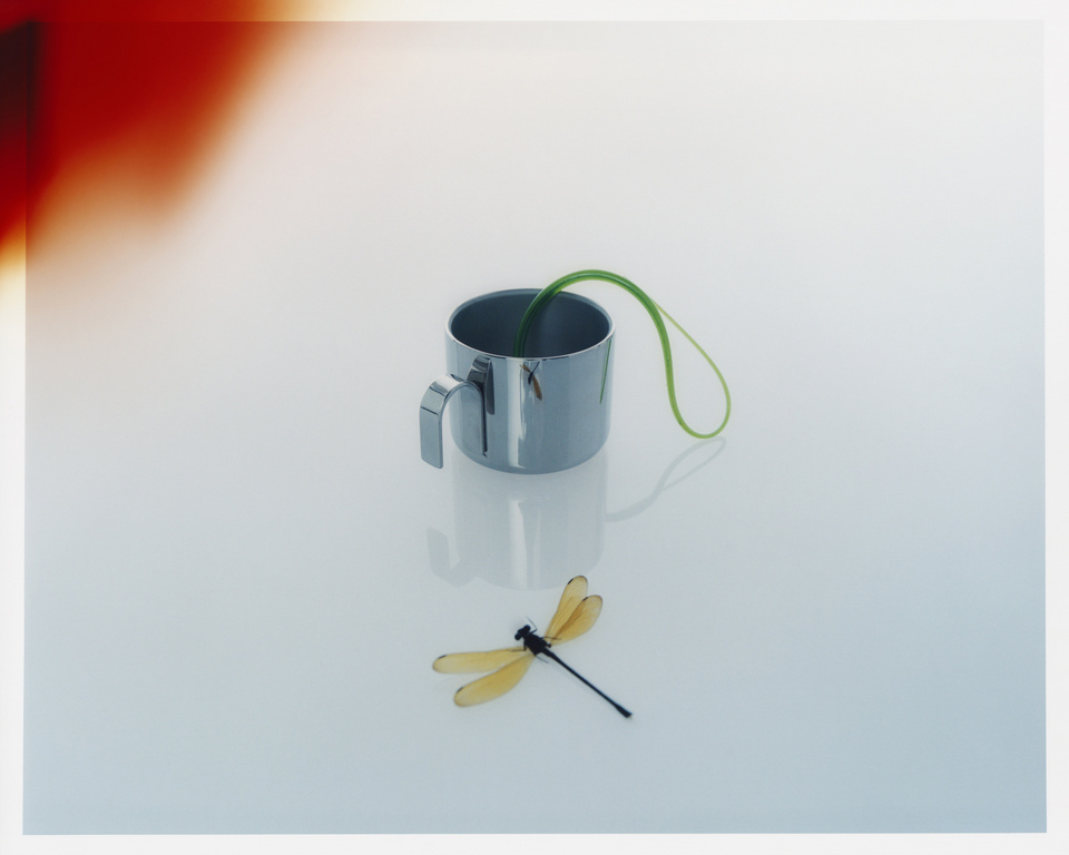 Still life of a silver cup with a green sprout, accompanied by a dragonfly, set against a soft gradient background of white and blue.