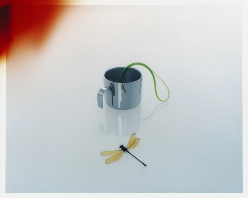 Still life of a silver cup with a green sprout, accompanied by a dragonfly, set against a soft gradient background of white and blue.