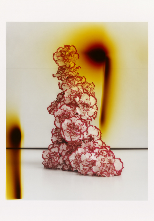 Still life studio shot of a tower of red and white carnation flowers set against a blurred background with orange and brown tones.