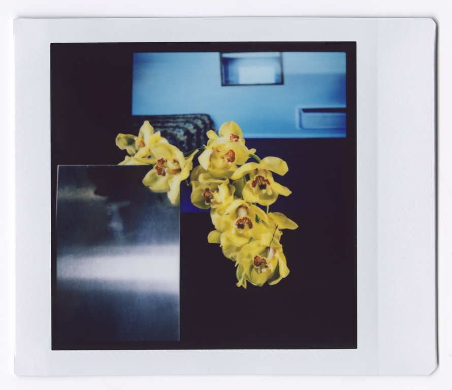 Close-up of a yellow orchid blossom against a dark background with a partially visible blue wall and a reflective square object.