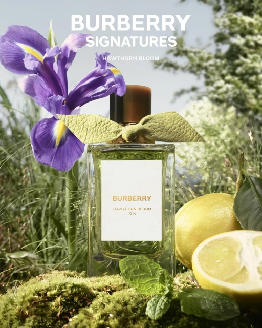 Burberry Hawthorn Bloom perfume bottle stands out amidst lush greenery, accompanied by a purple iris and vibrant yellow lemon halves.