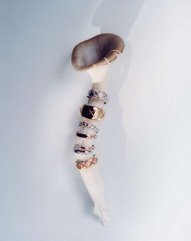 Stacked jewelry rings on a mushroom stem. Close-up studio shot with soft lighting highlights the rings' textures and mushroom details.