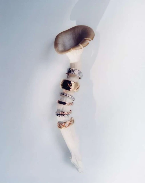 Stacked jewelry rings on a mushroom stem. Close-up studio shot with soft lighting highlights the rings' textures and mushroom details.