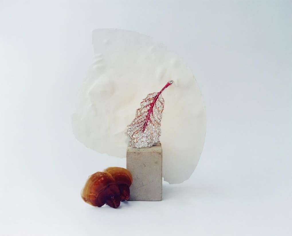 Still life shot of a jeweled feather on a concrete block with mushrooms in the foreground, set against a white background.