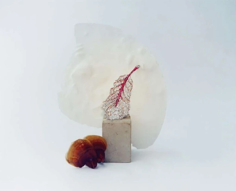 Still life shot of a jeweled feather on a concrete block with mushrooms in the foreground, set against a white background.