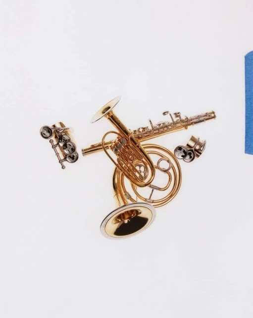 Musical instruments including a clarinet, french horn, and other brass instruments are arranged against a white backdrop.