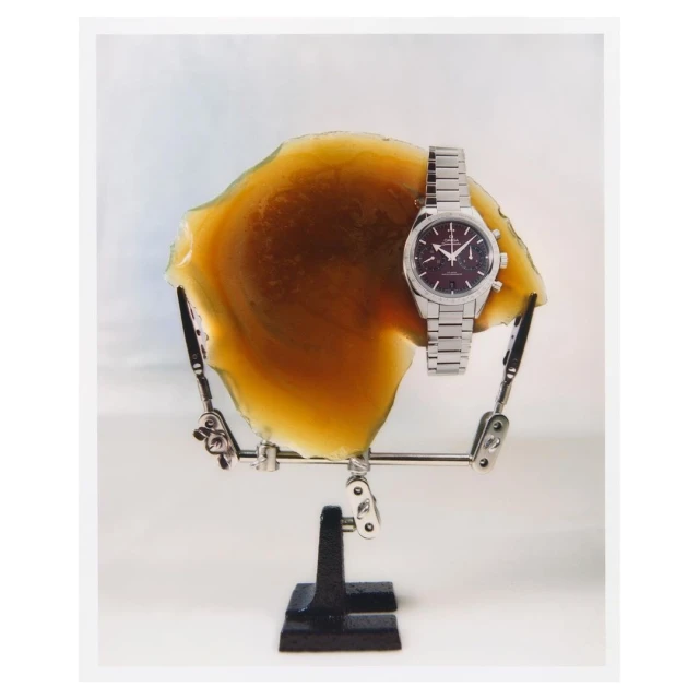 Studio product shot of a luxury silver wristwatch displayed on an adjustable jewelry stand with a slice of petrified wood as backdrop.